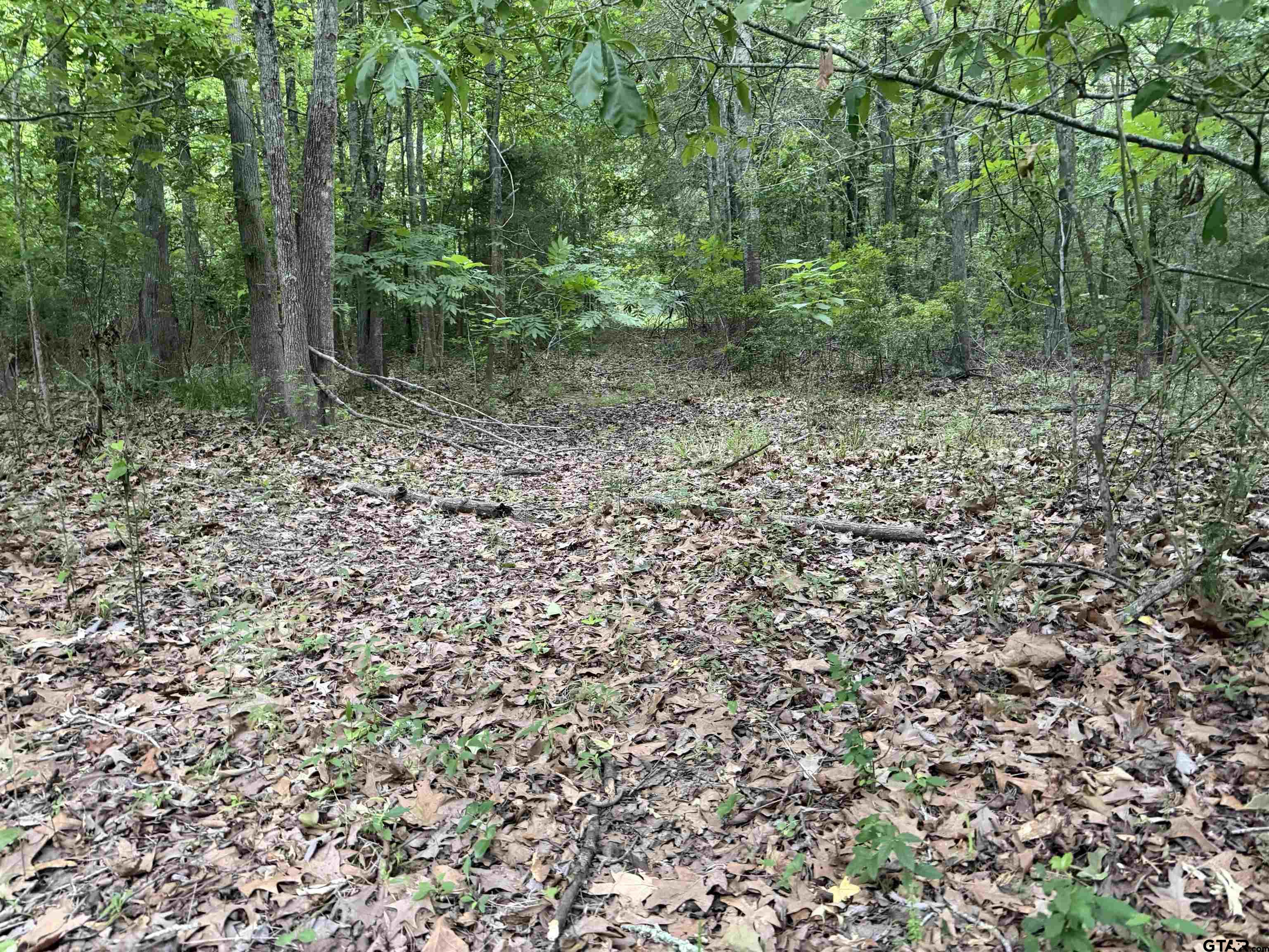 000A County Road 1204