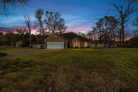 14669 County Road 2337, Tyler, TX 75707 - MLS#: 25004034