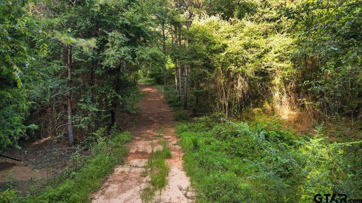 TBD 17 ACRES FM 2274