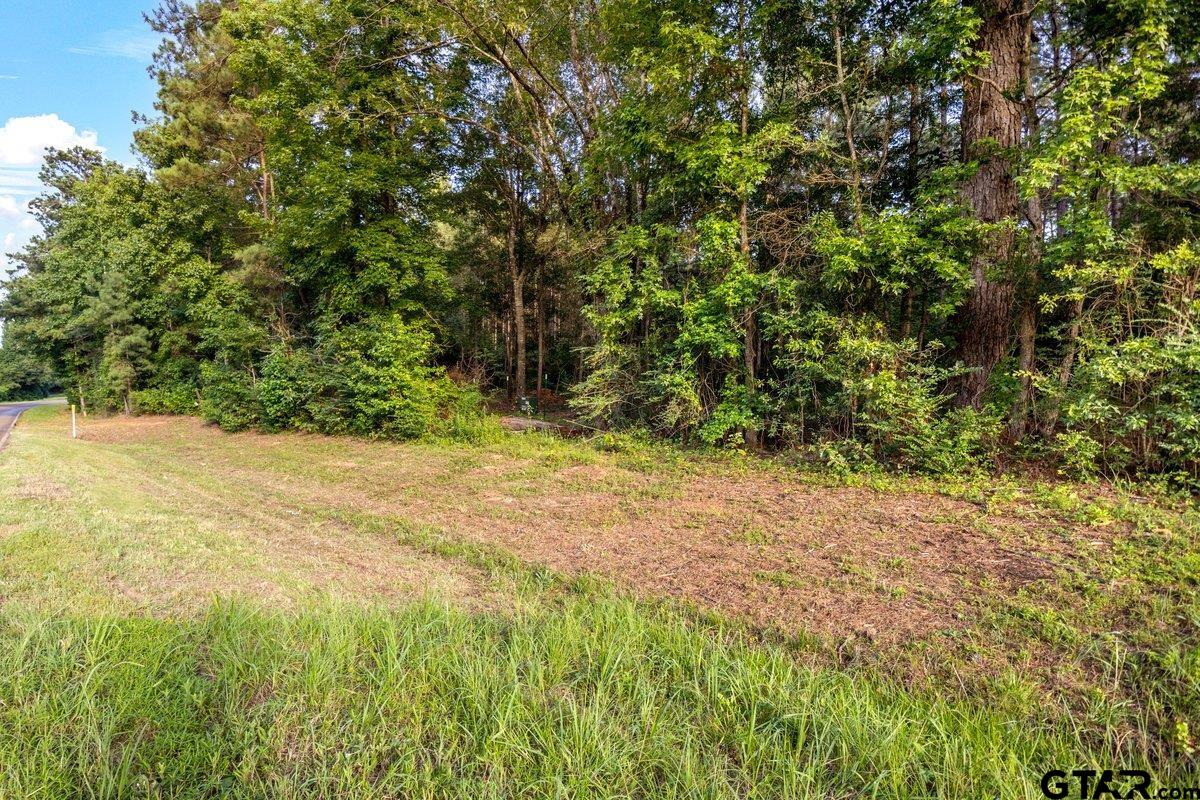 TBD 17 ACRES FM 2274
