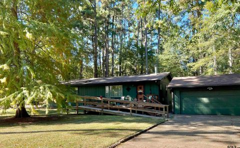 1629 Pineview Hideaway TX 75771