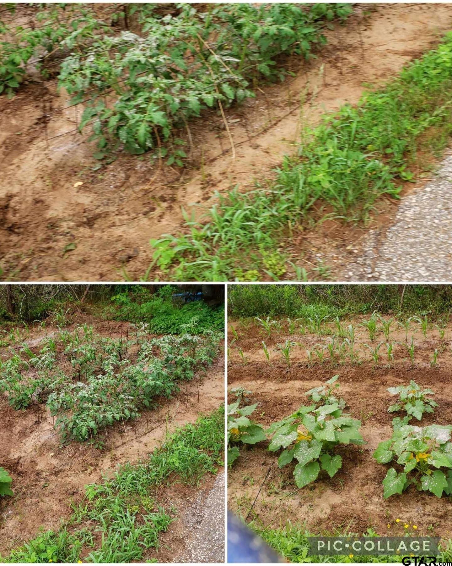 10774 County Road 494 (multiple addresses)