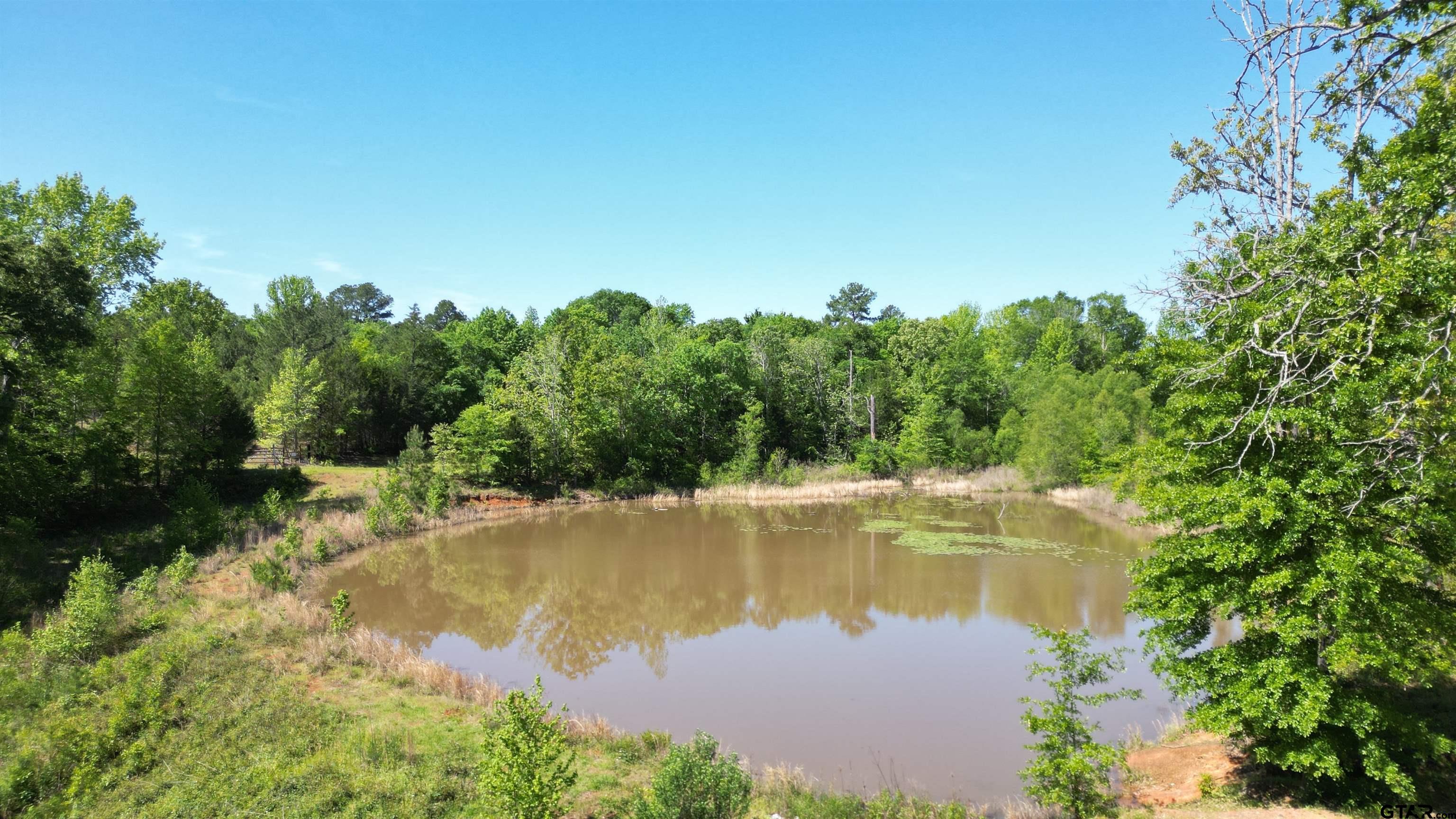 Arp, Texas 75750, United States, 2 Bedrooms Bedrooms, ,1 BathroomBathrooms,Residential,Pending,44877