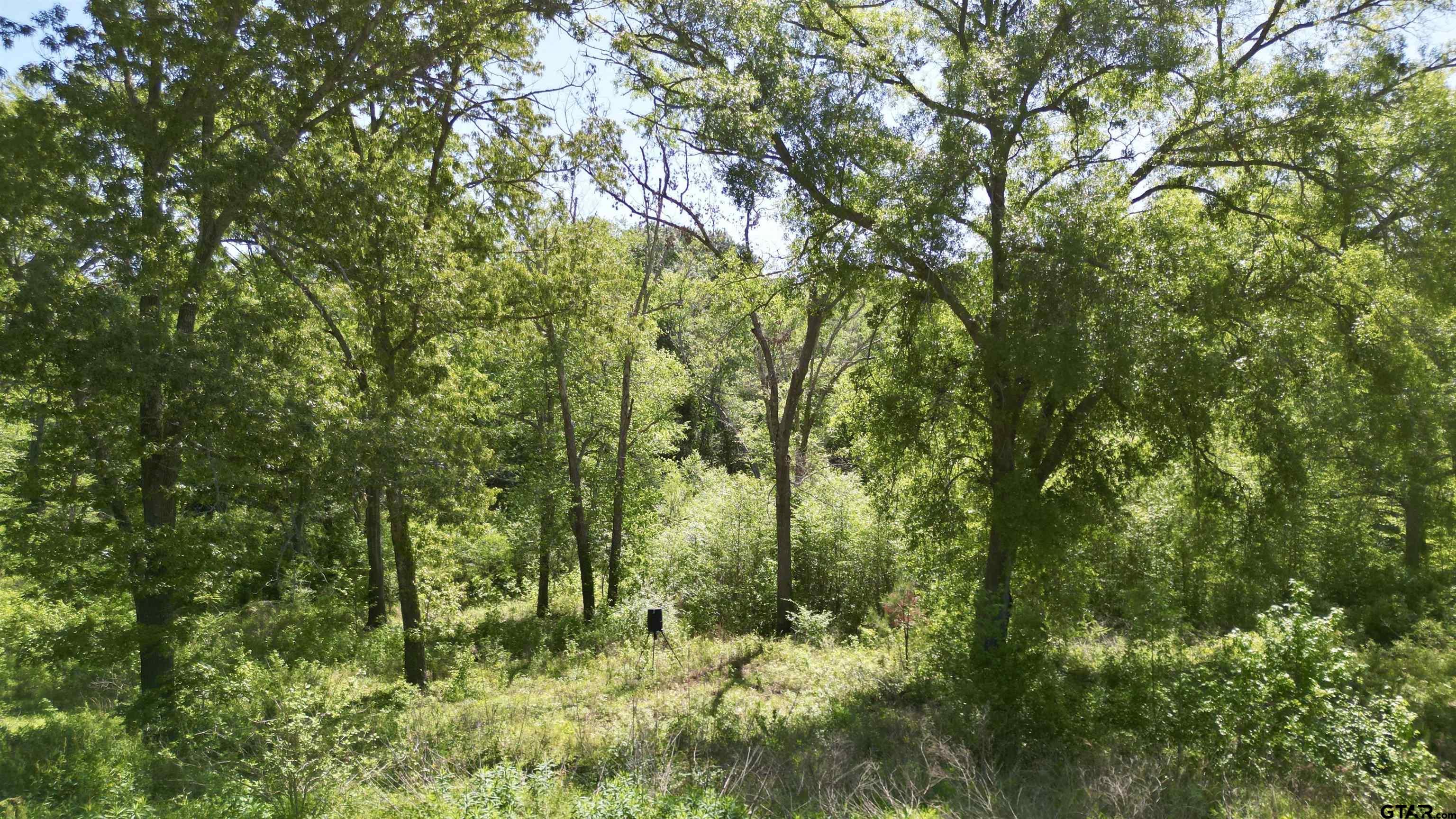 Arp, Texas 75750, United States, 2 Bedrooms Bedrooms, ,1 BathroomBathrooms,Residential,Pending,44877