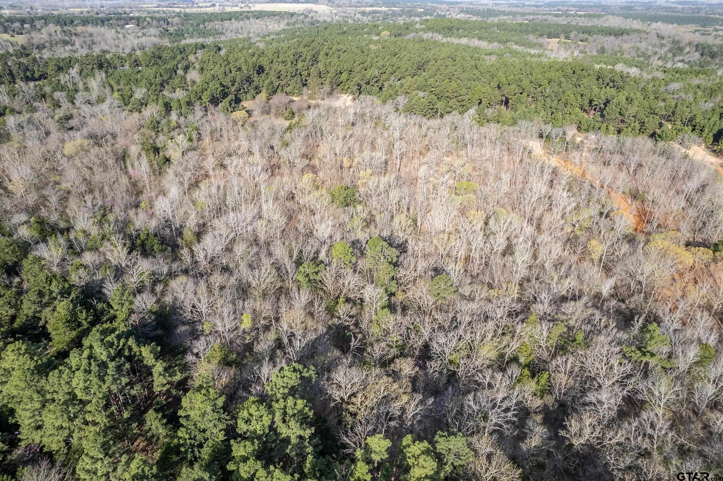 2225 County Road 3406