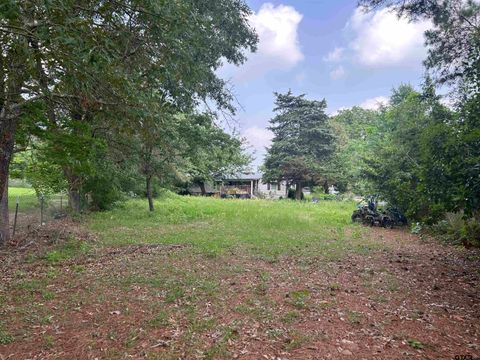 141 PR 6252 Mineola TX 75773