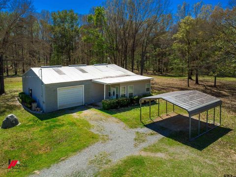 12397 Tranquility Lane Marshall TX 75672