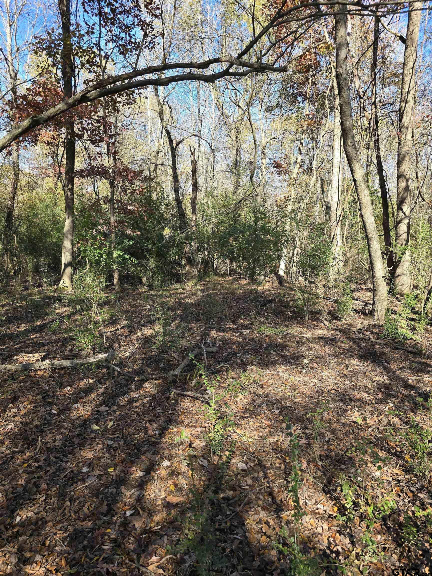 TBD County Road 3324