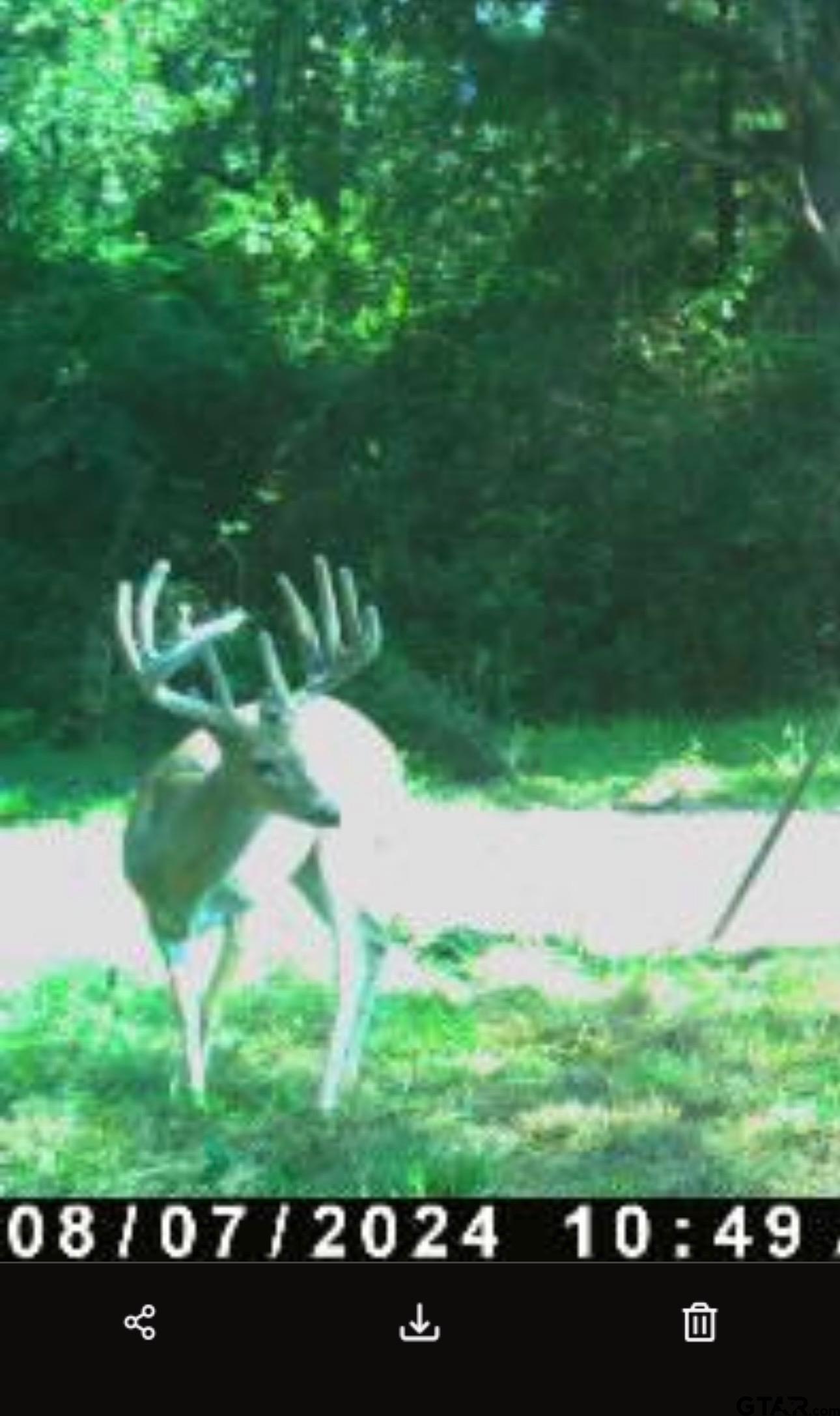 Tennessee Colony, Texas 75861, United States, 3 Bedrooms Bedrooms, ,2 BathroomsBathrooms,Residential,Active,13758