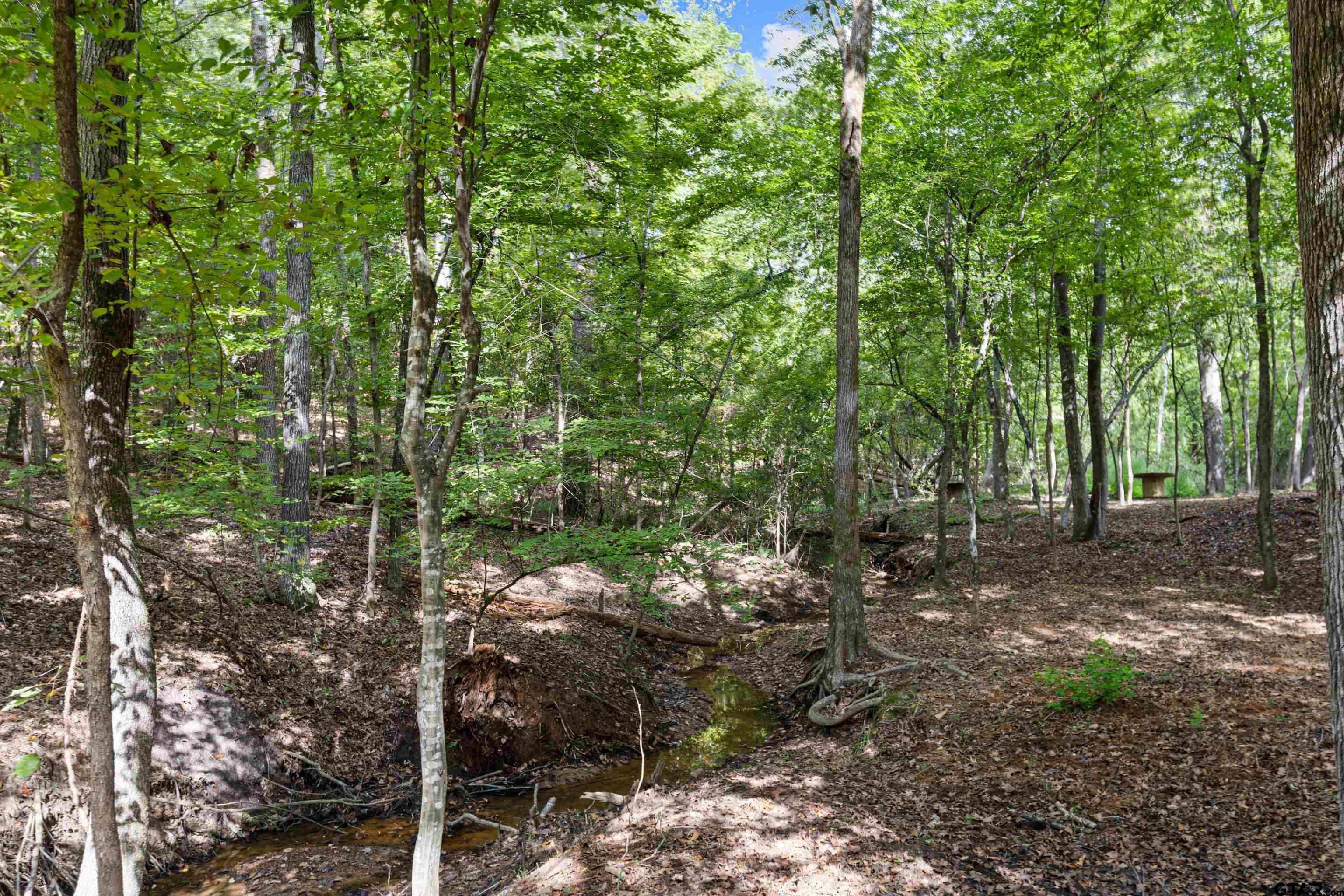 448 Private Road 6685