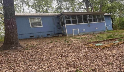 313 Private Road 8693 Winnsboro TX 75494