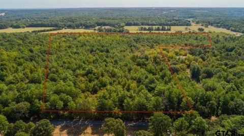 TBD CR 479 (Tract 4) Lindale TX 75771