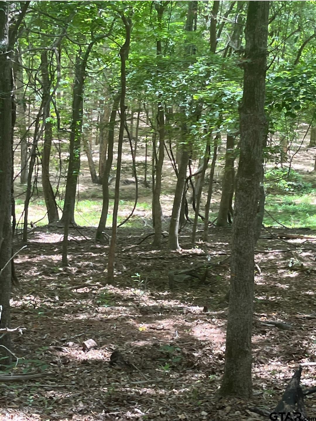 10774 CR 494 (multiple addresses)