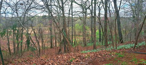 10774 CR 494 (multiple addresses) Tyler TX 75706