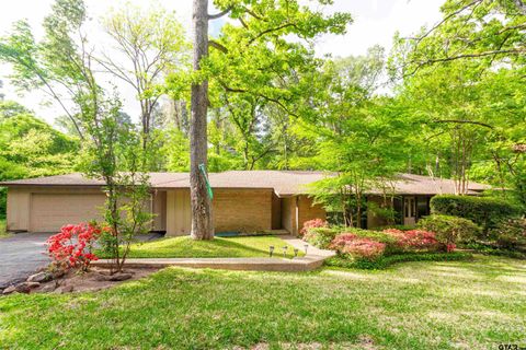 17573 Indian Summer Ln Flint TX 75762