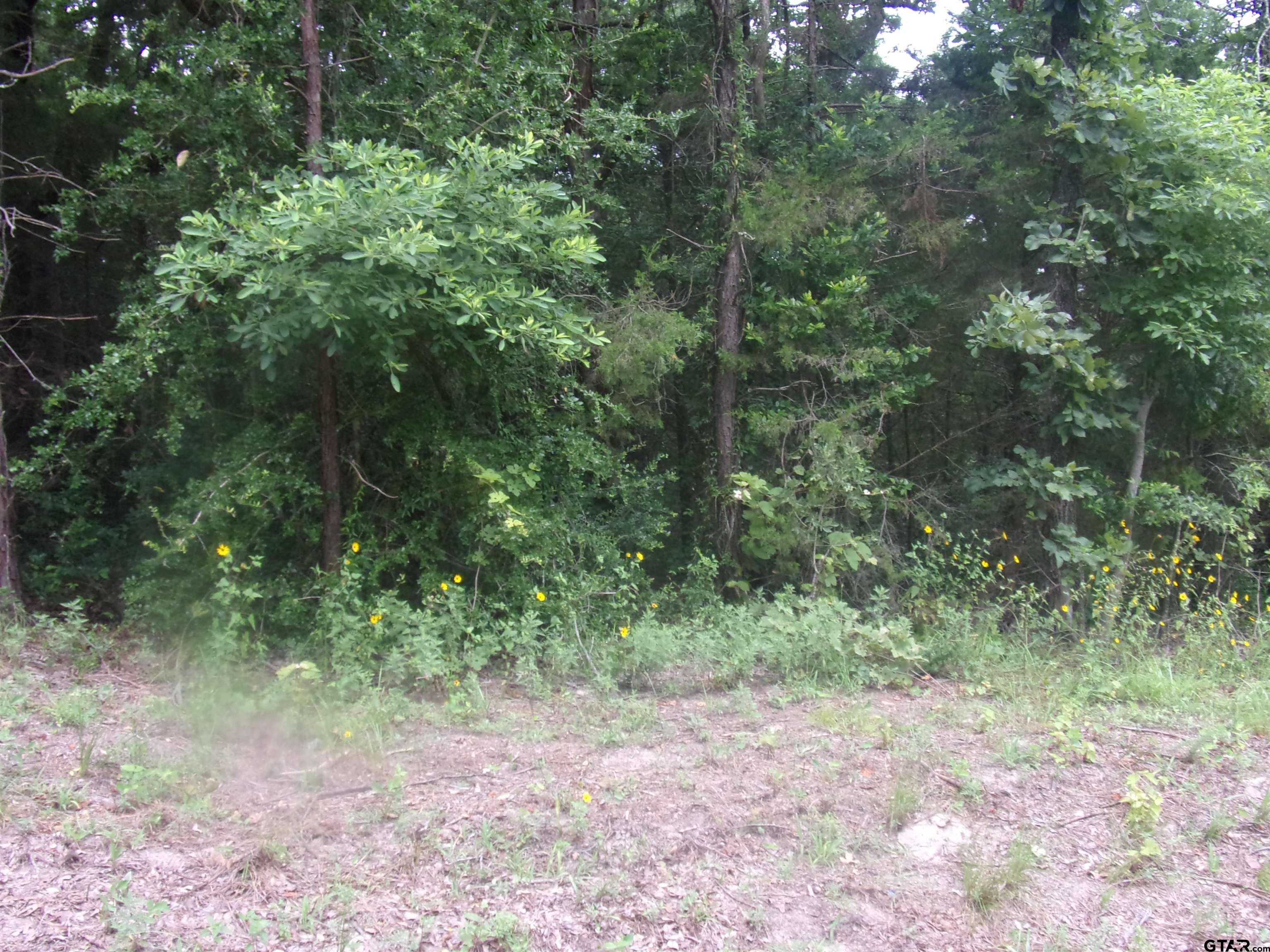 tbd Holly Glen