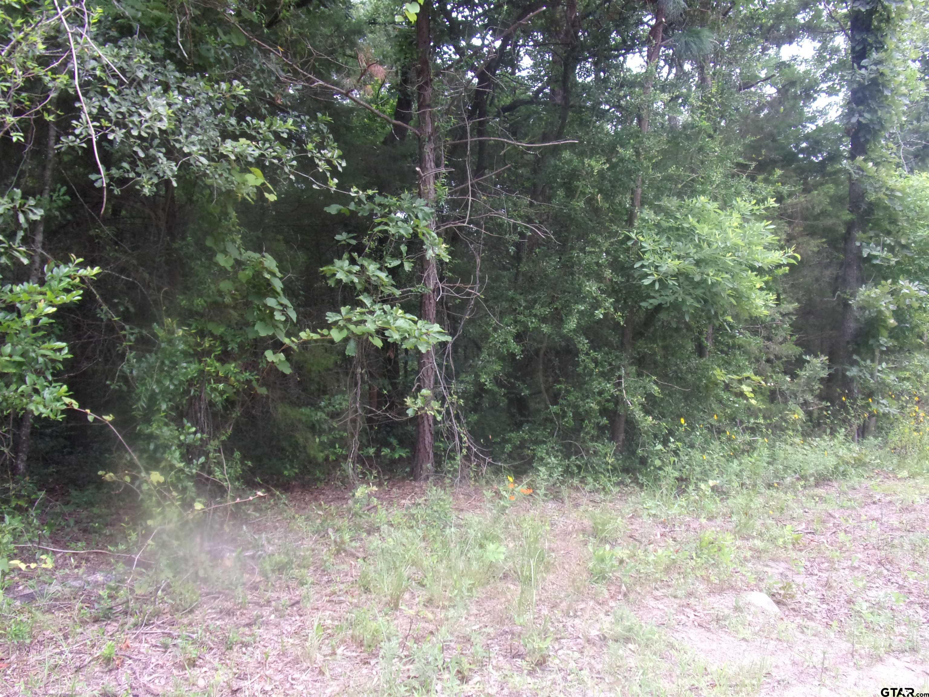 tbd Holly Glen