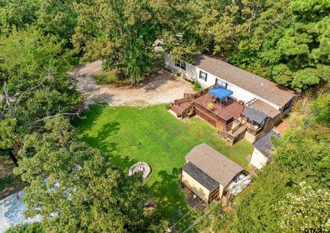 16964 Pine Trail Dr Flint TX 75762