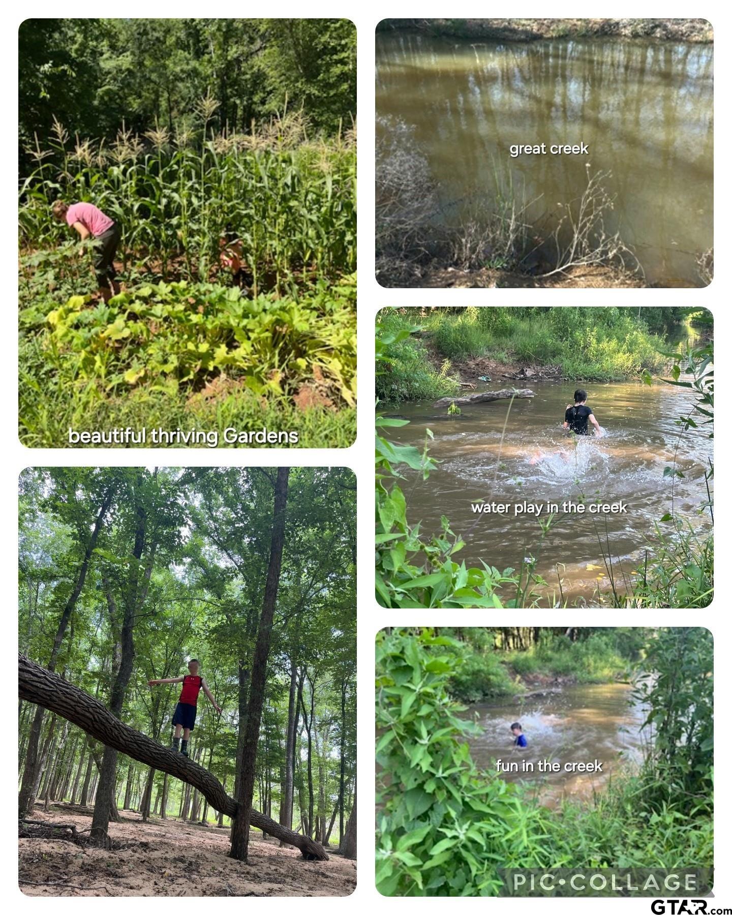 10774 County Road 494 (multiple addresses)