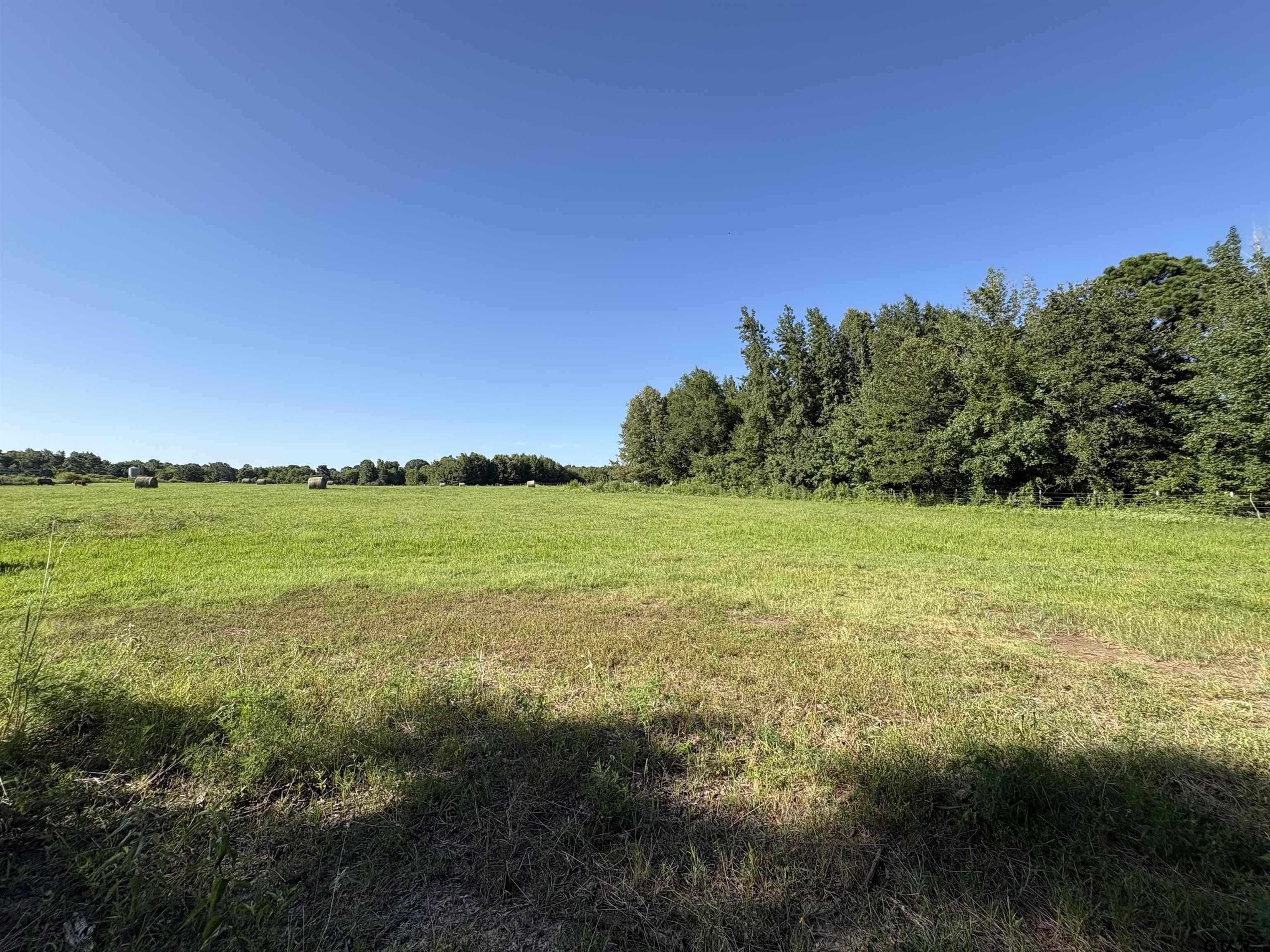 TBD County Road 1203 Central Rd
