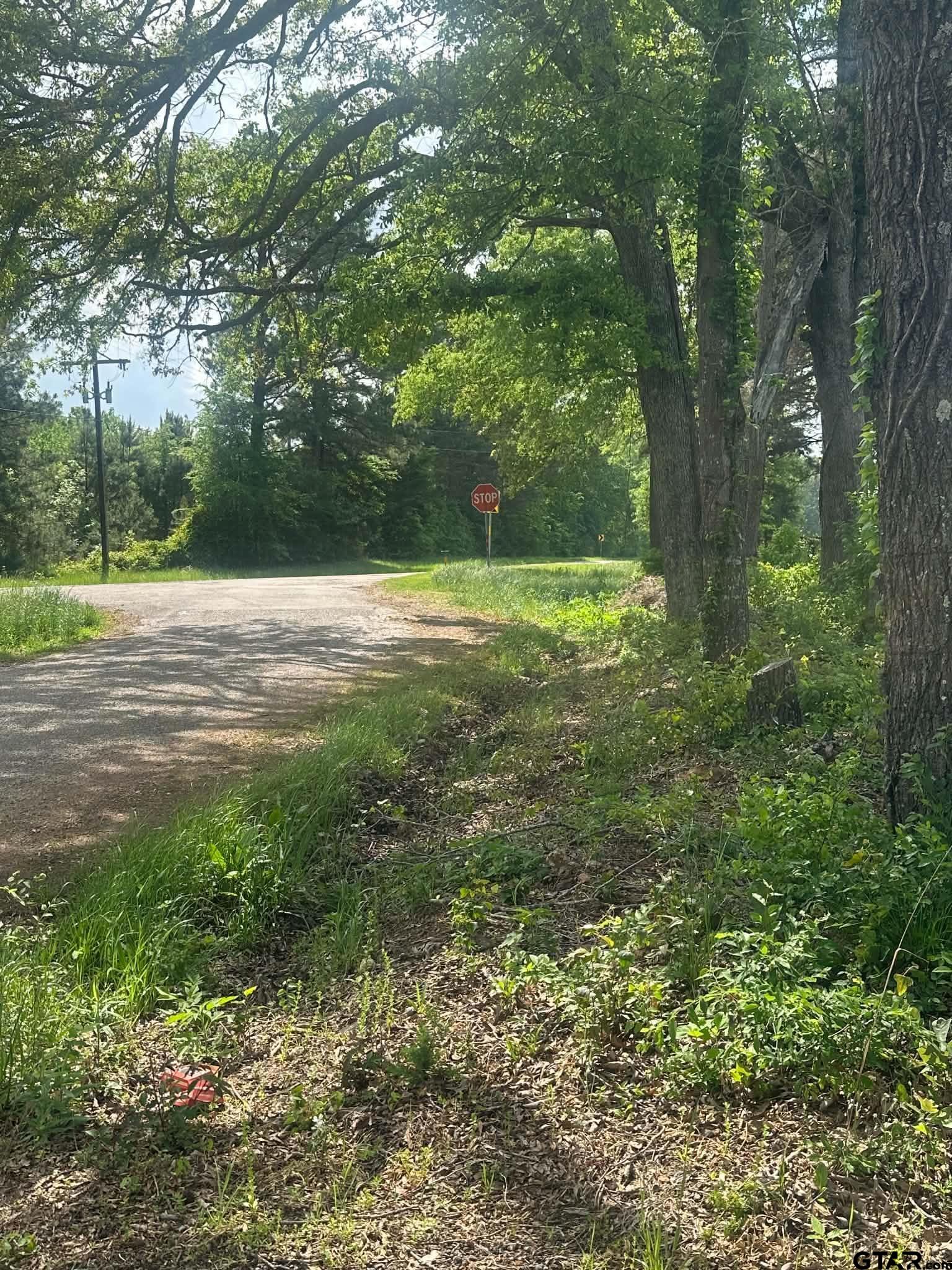 TBD County Road 1203 Central Rd