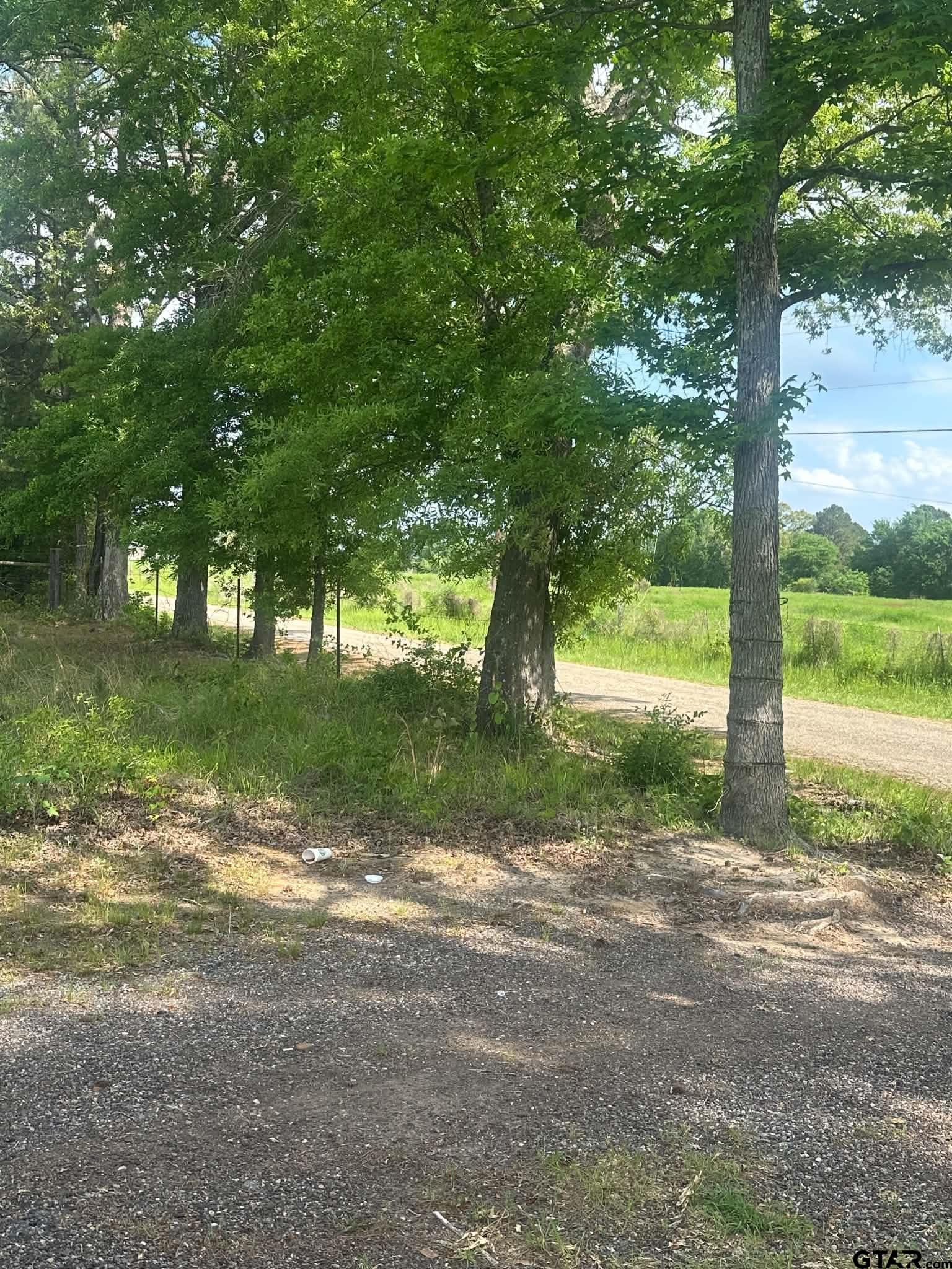 TBD County Road 1203 Central Rd