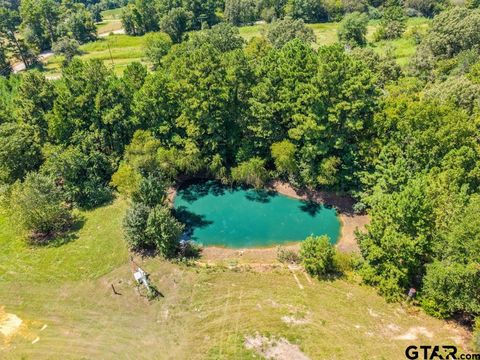 11870 CR 2260 Arp TX 75750