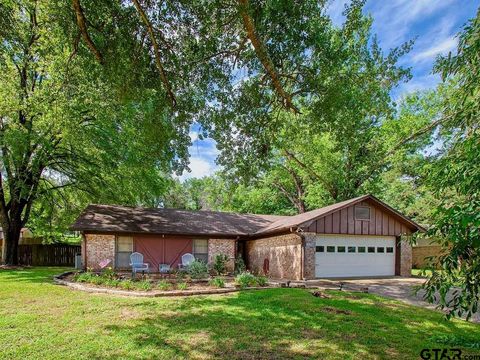 11291 County Rd 1232 Flint TX 75762