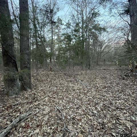 TBD County Road 2182 Whitehouse TX 75791