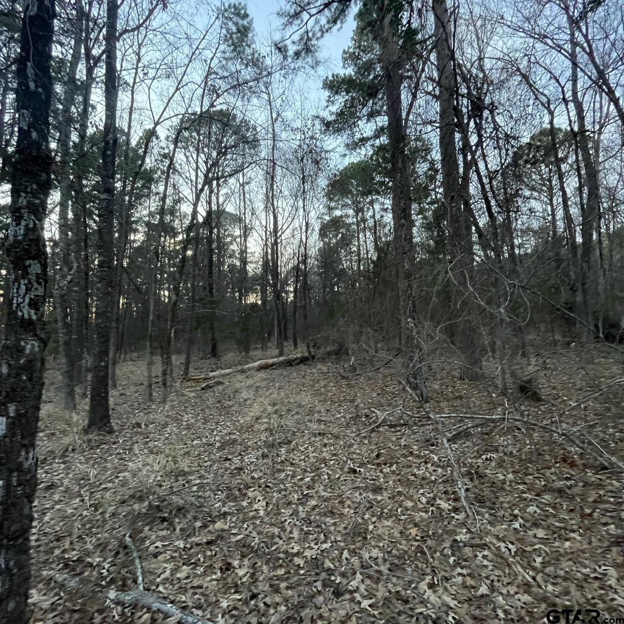 TBD County Road 2182