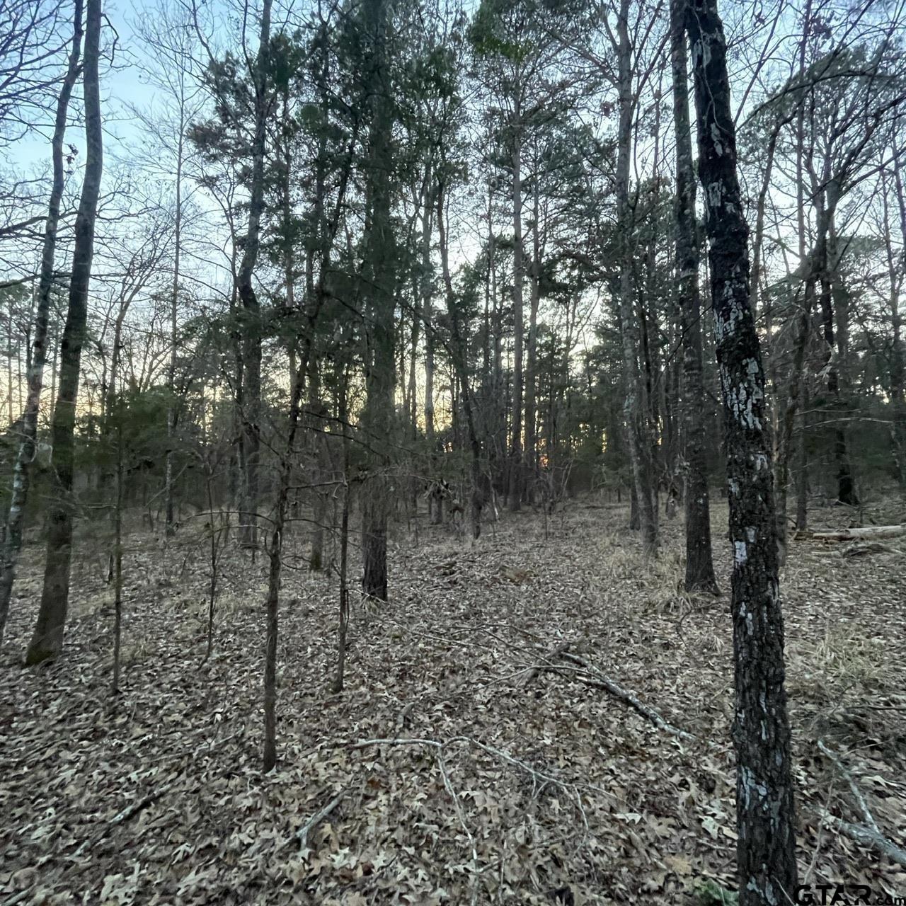 TBD County Road 2182