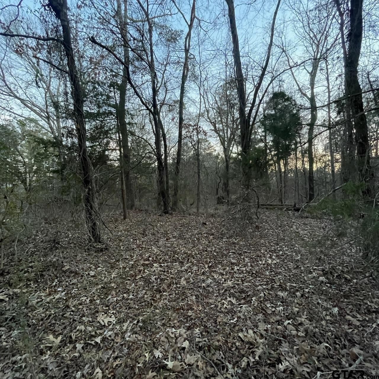 TBD County Road 2182