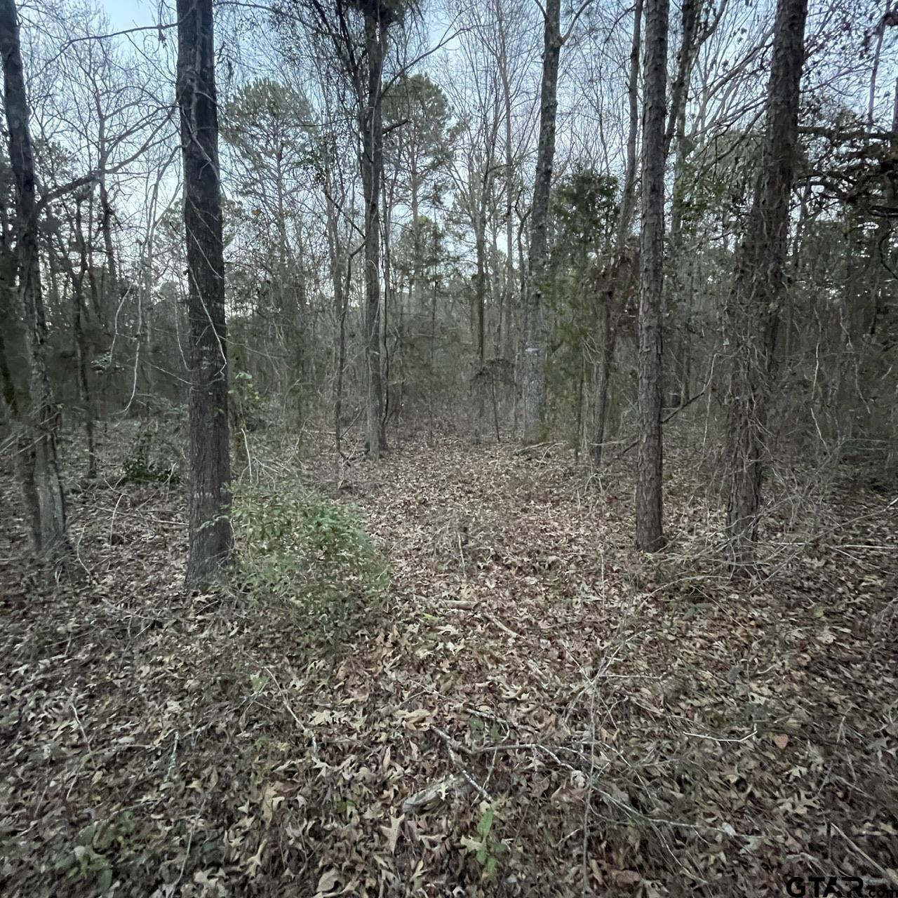 TBD County Road 2182