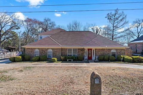 20 County Road 2938 S Pittsburg TX 75686