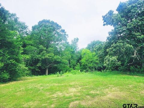 22473 FM 2208 Harleton TX 75651