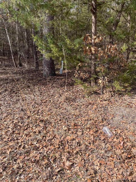 TBD Wildwood Murchison TX 75778