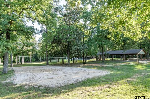 A home in Holly Lake Ranch