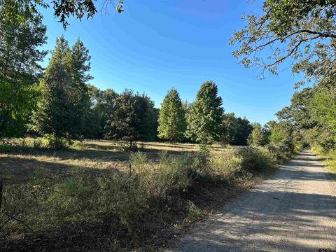 TBD CR 3701 Murchison TX 75778