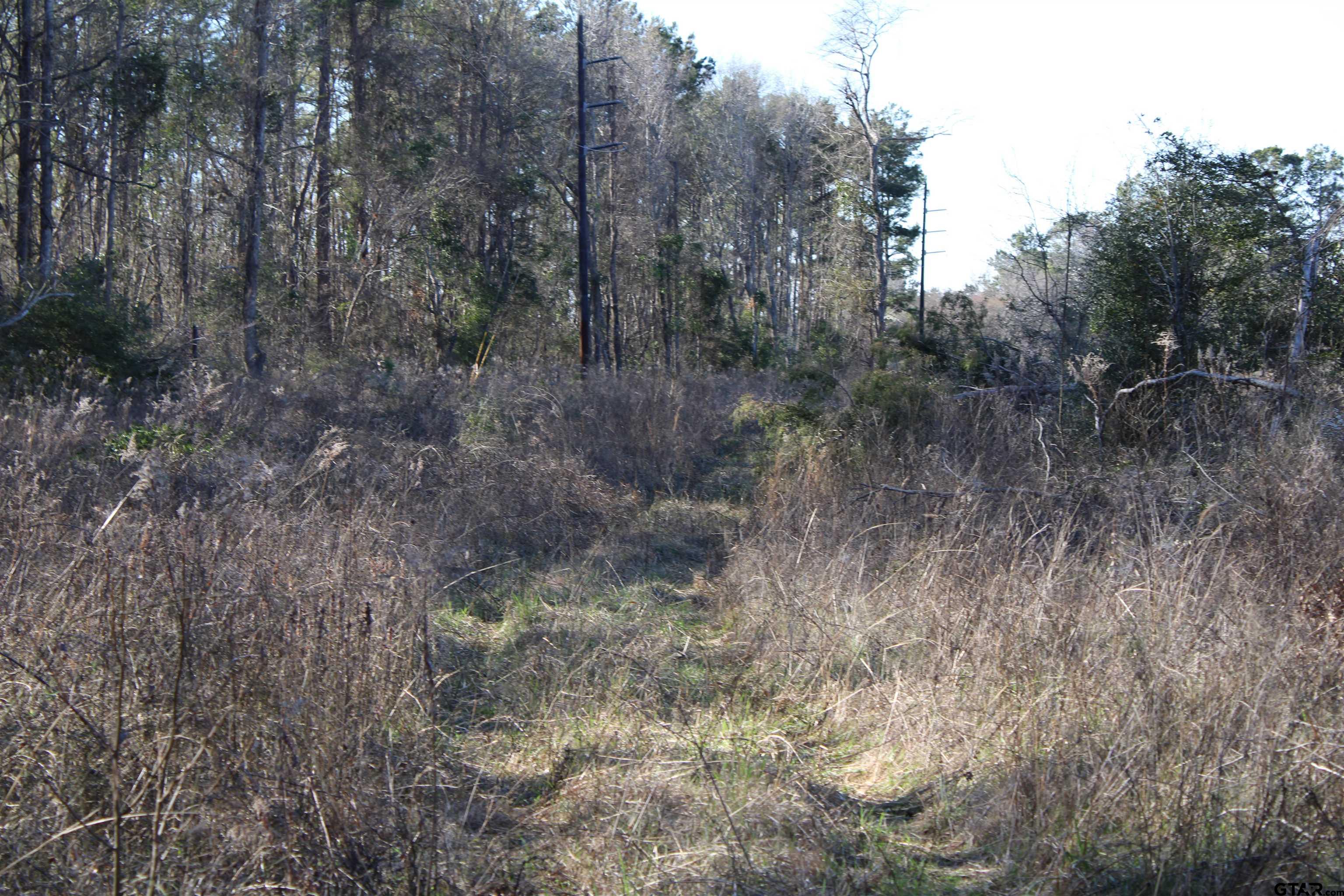 TBD CR 1627- 10 acres