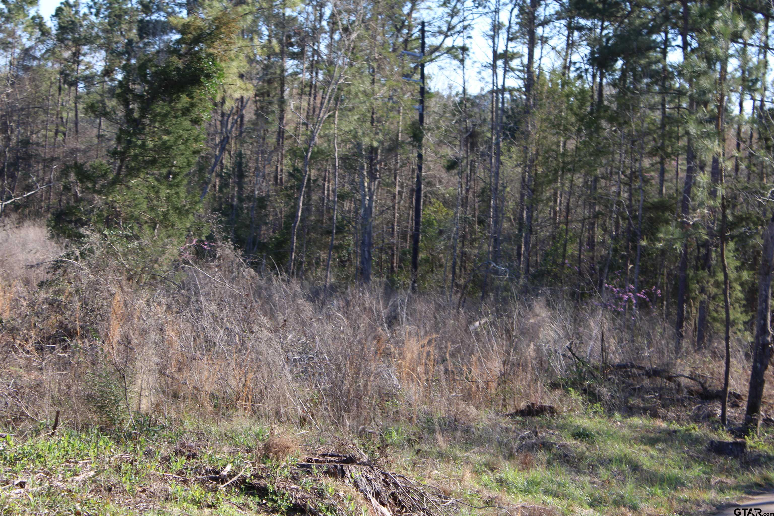 TBD CR 1627- 10 acres