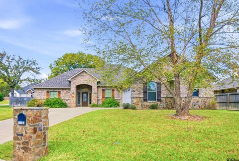 19481 Sandhill Ln Flint TX 75762