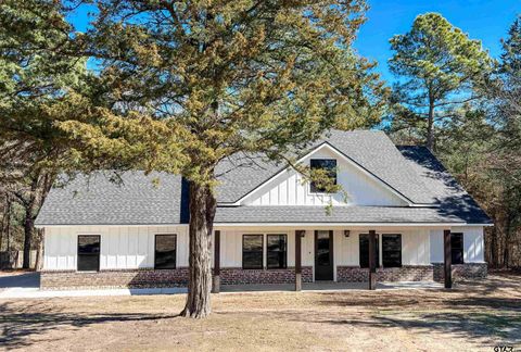 329 CR 2317 Mineola TX 75773