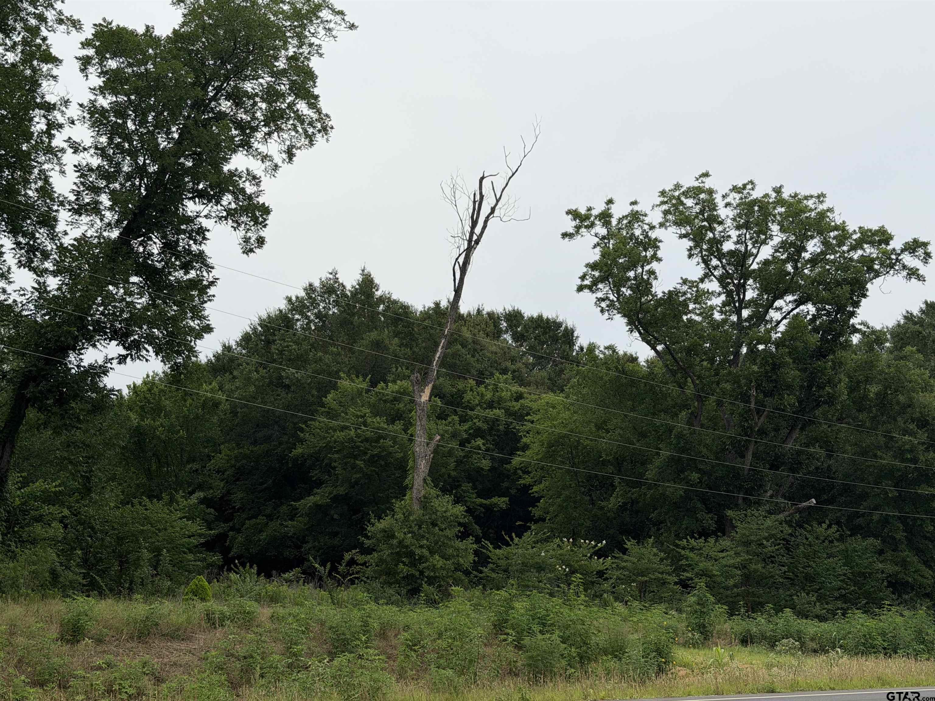 18171 FM 16 Lot #5