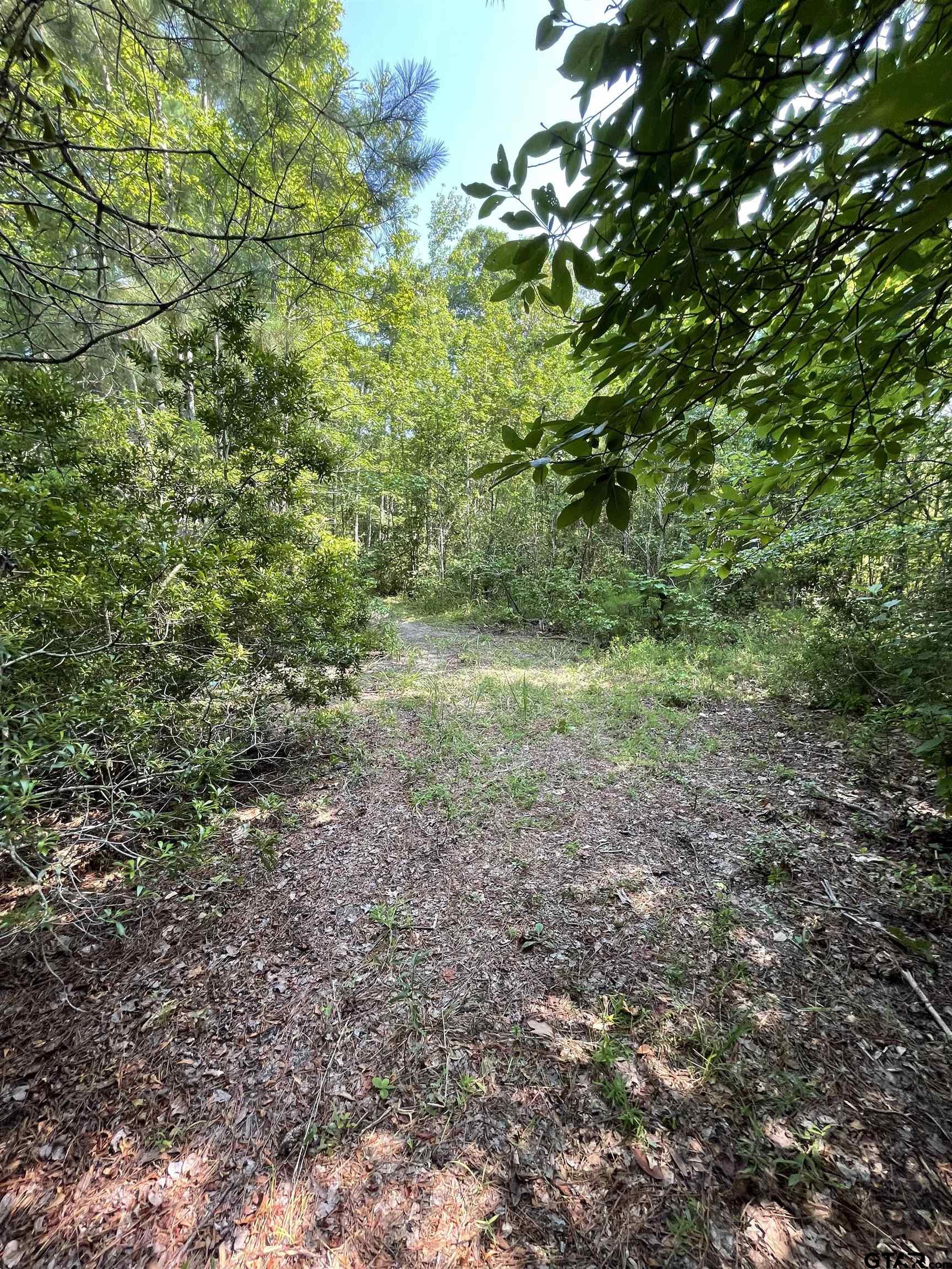 TBD County Road 4559