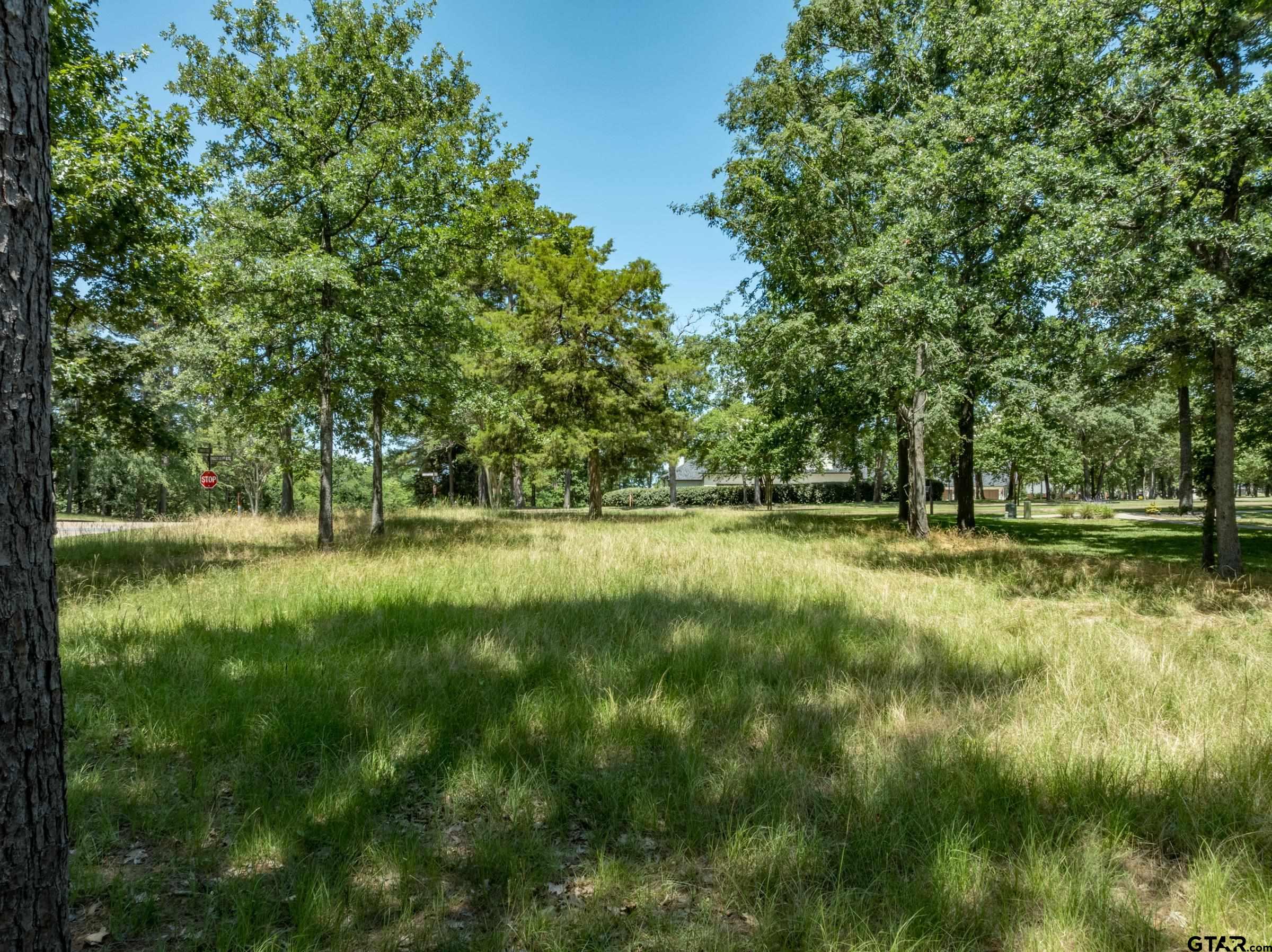 137 EAGLES BLUFF BLVD S