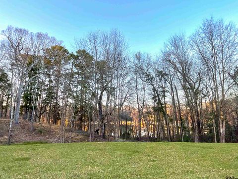 17961 Gordons landing rd Arp TX 75750