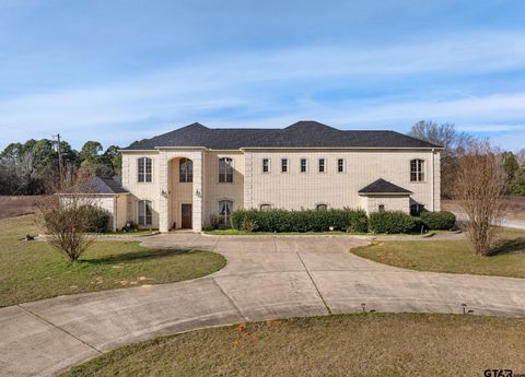 18186 C R 2195 (Maji Rd) Whitehouse TX 75791