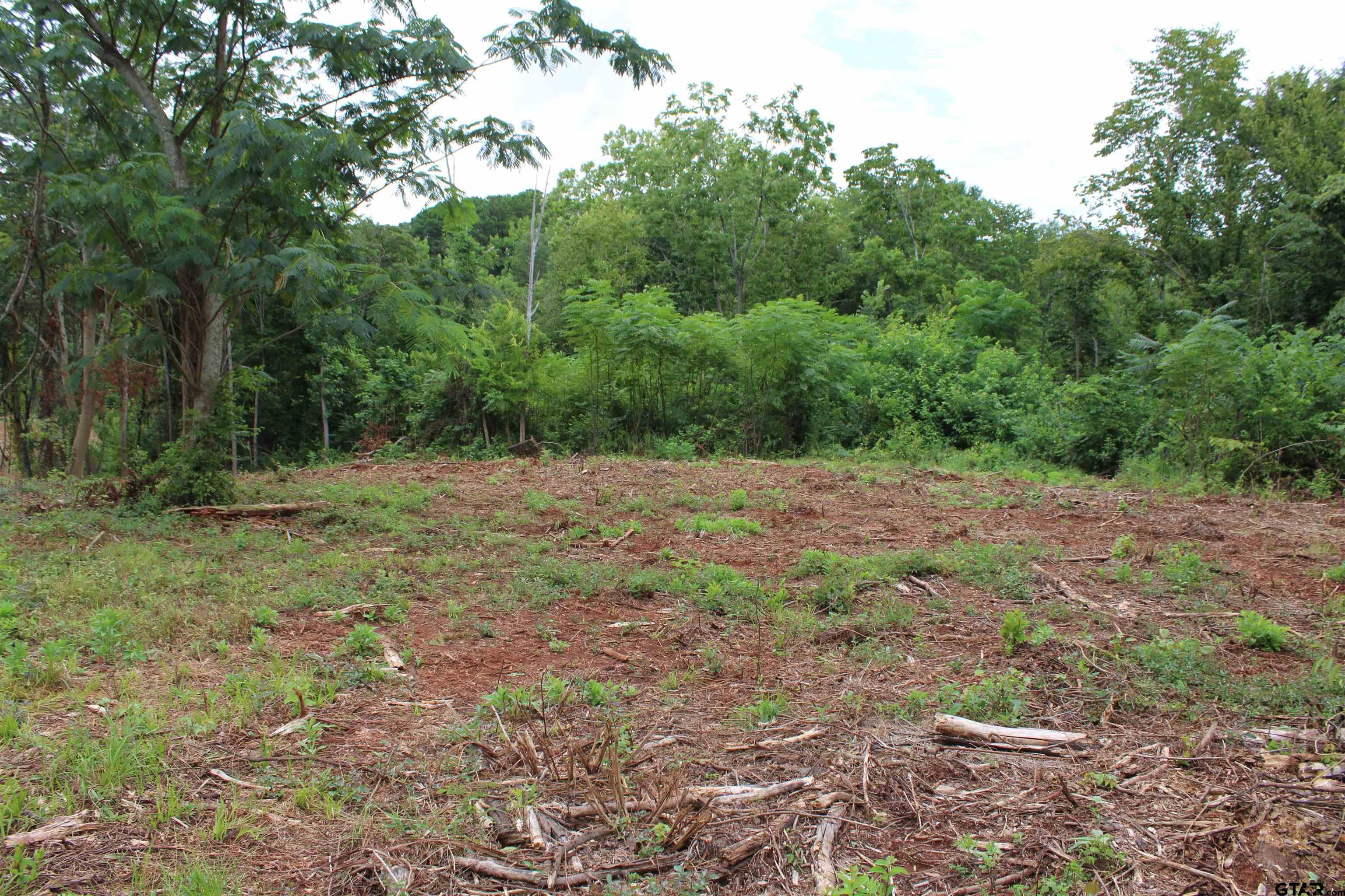 TBD - TRACT 1 CR 4118