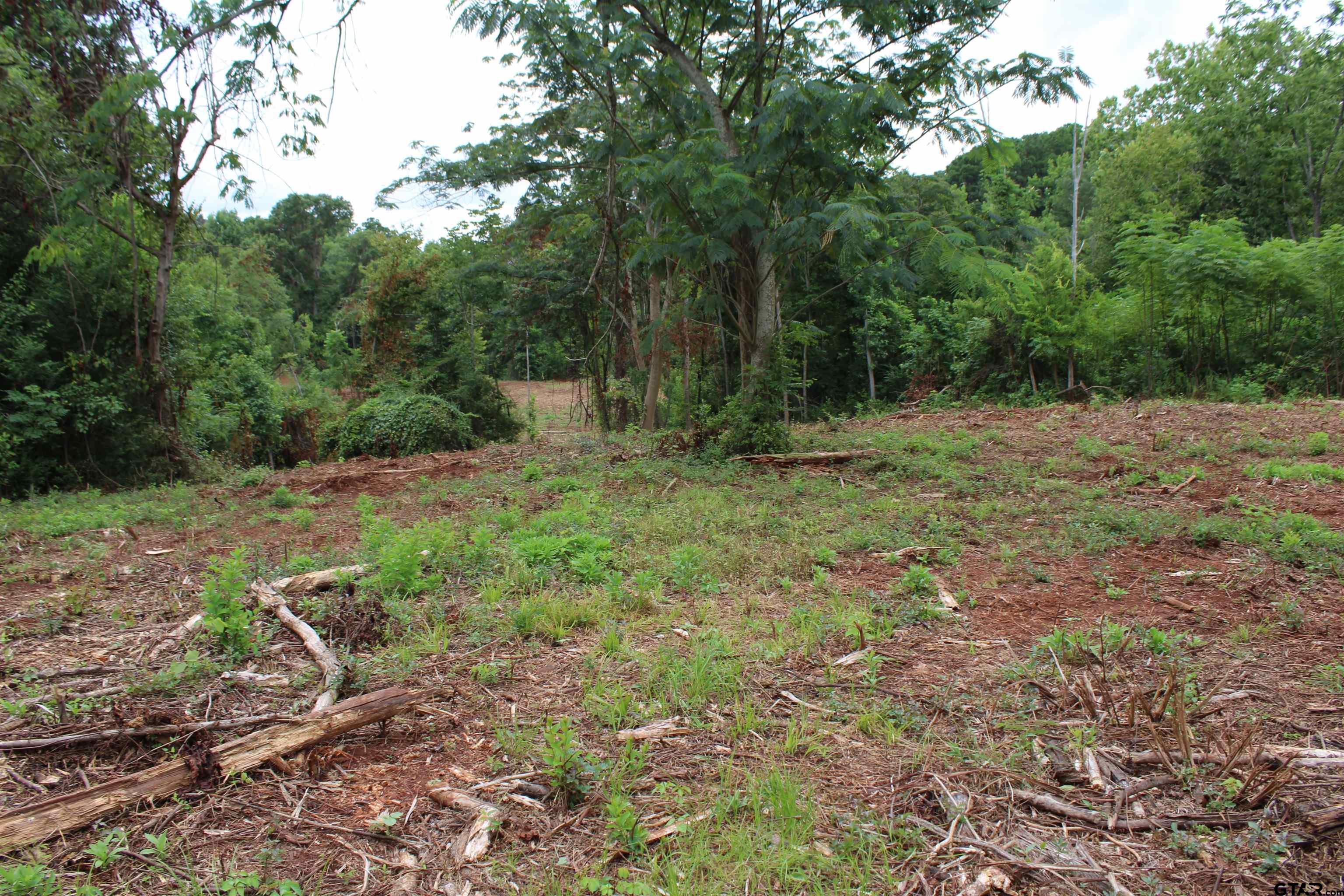 TBD - TRACT 1 CR 4118