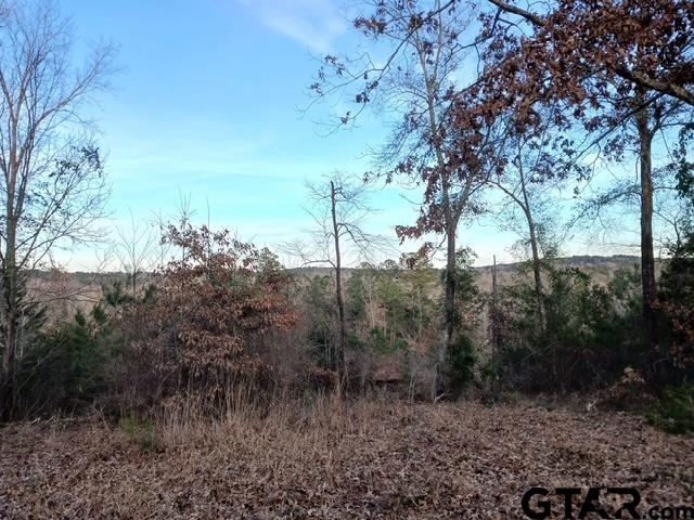 765 Private Road 4322